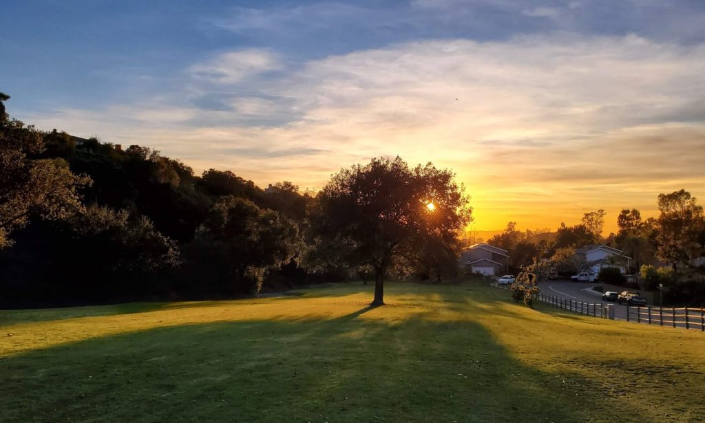 Rockridge-Temescal Greenbelt in Oakland, CA